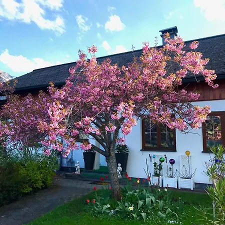 Haus Belli