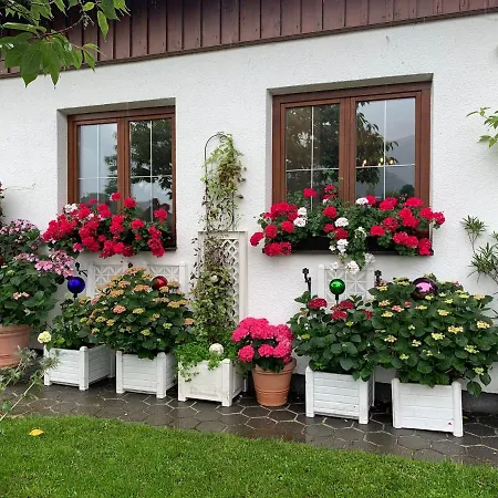 Haus Belli